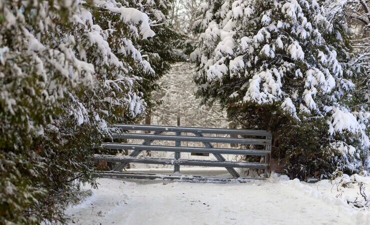 Какая погода ждет Казахстан 8 декабря