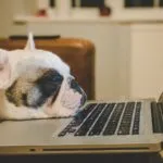 В Казахстане предложили ввести четырехдневку для госслужащих