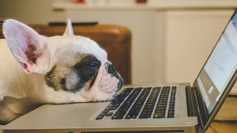 В Казахстане предложили ввести четырехдневку для госслужащих