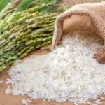Как сварить вкусный рис: секреты приготовления рассыпчатого блюда