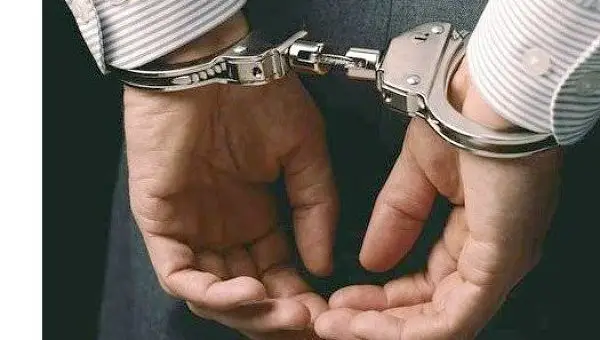 Полицейские раскрыли кражу