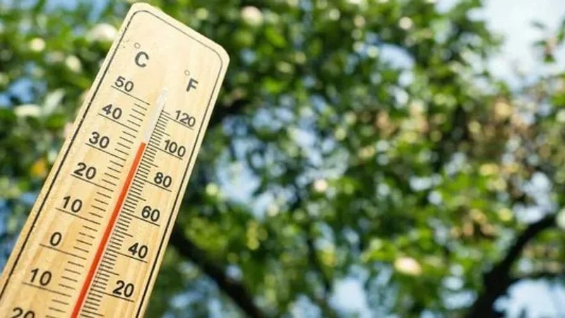 Прогноз погоды в Караганде на неделю