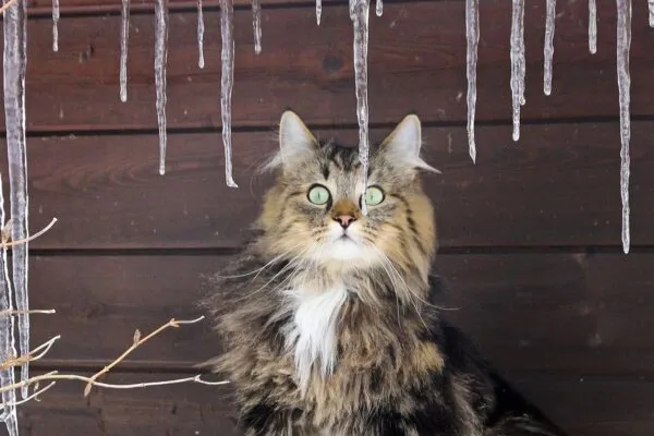 Погода в Казахстане