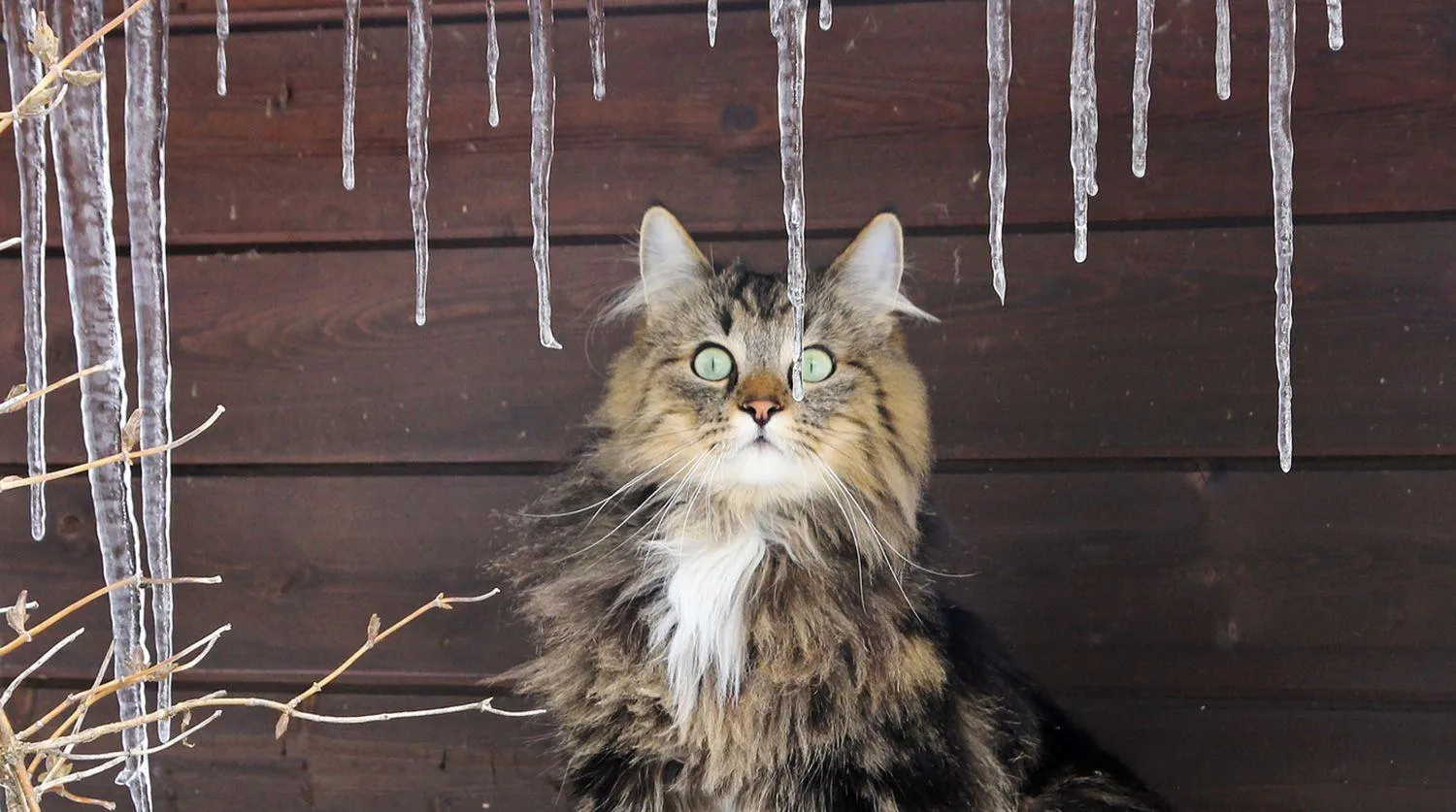 Погода в Казахстане