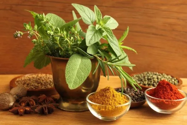 Пряные травы: аромат, вкус и польза для здоровья