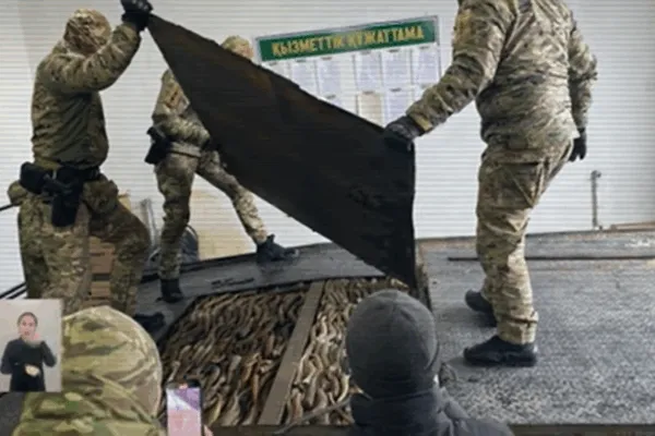 Контрабанда