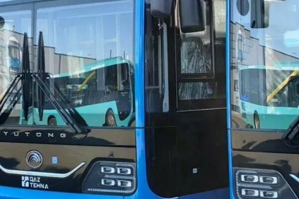 Новые автобусы