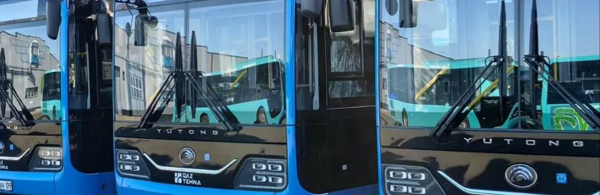Новые автобусы