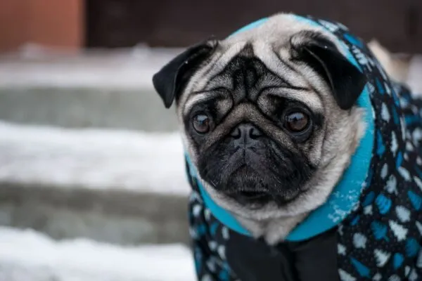 Прогноз погоды