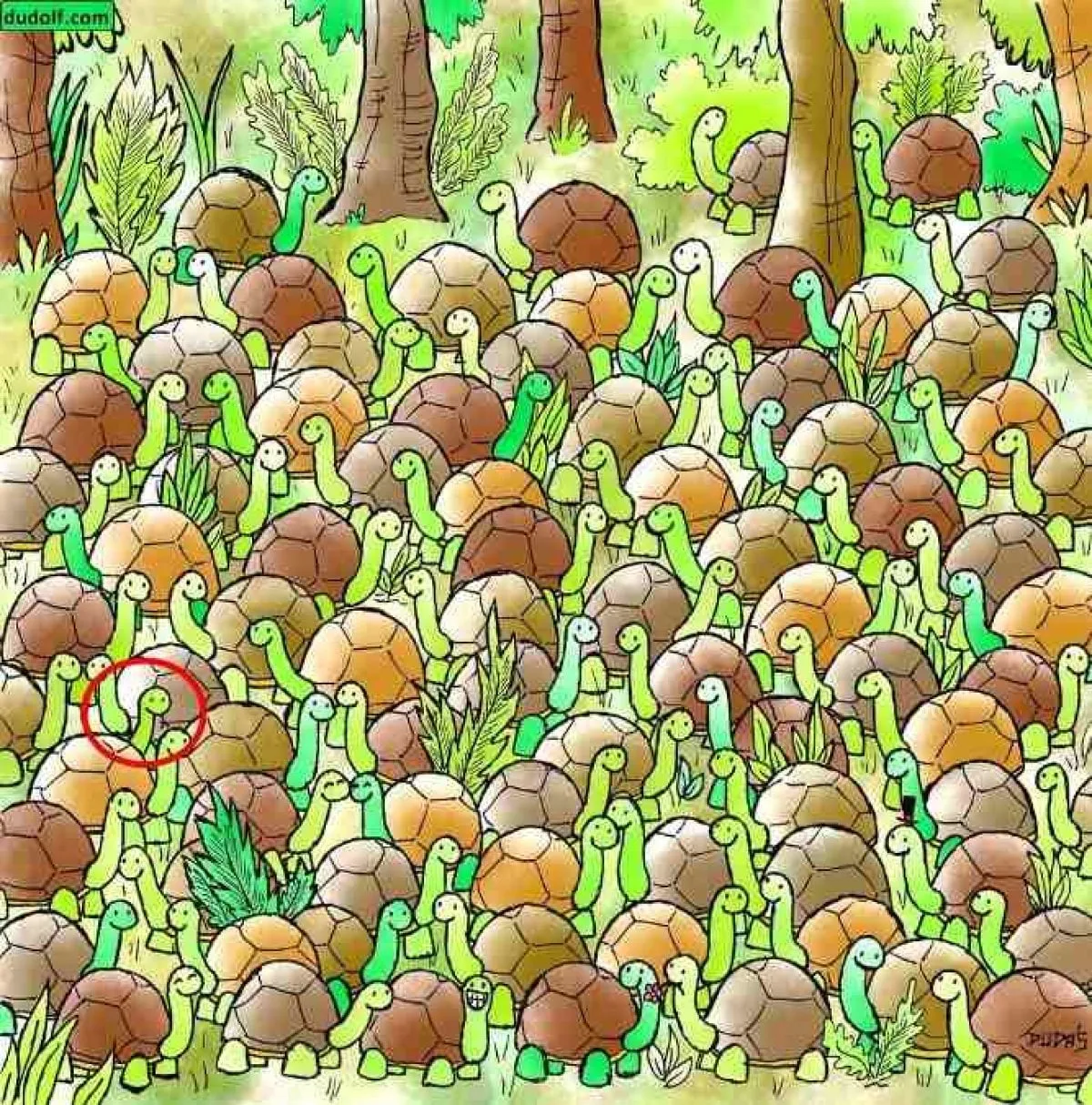 Визуальная головоломка / Фото - Jagranjosh