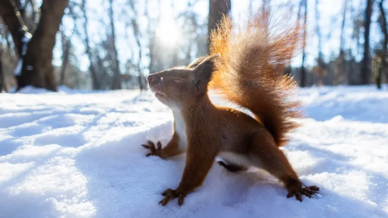 Погода на 15 февраля в Караганде: потепление и мокрый снег