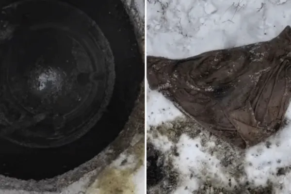 Находки из канализации