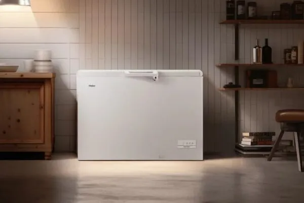 Морозильный ларь