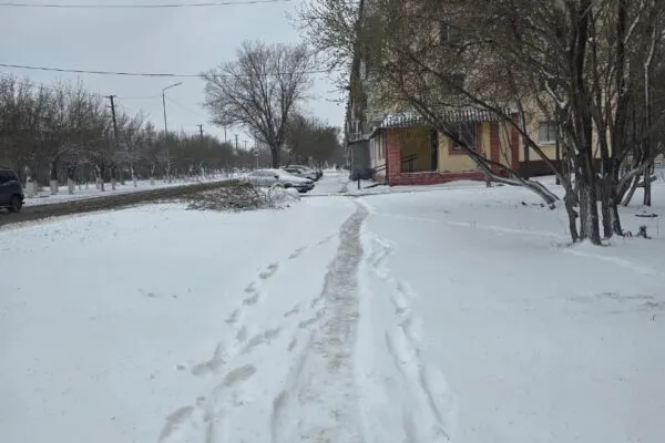 На работу вышли все, кроме уборочной техники