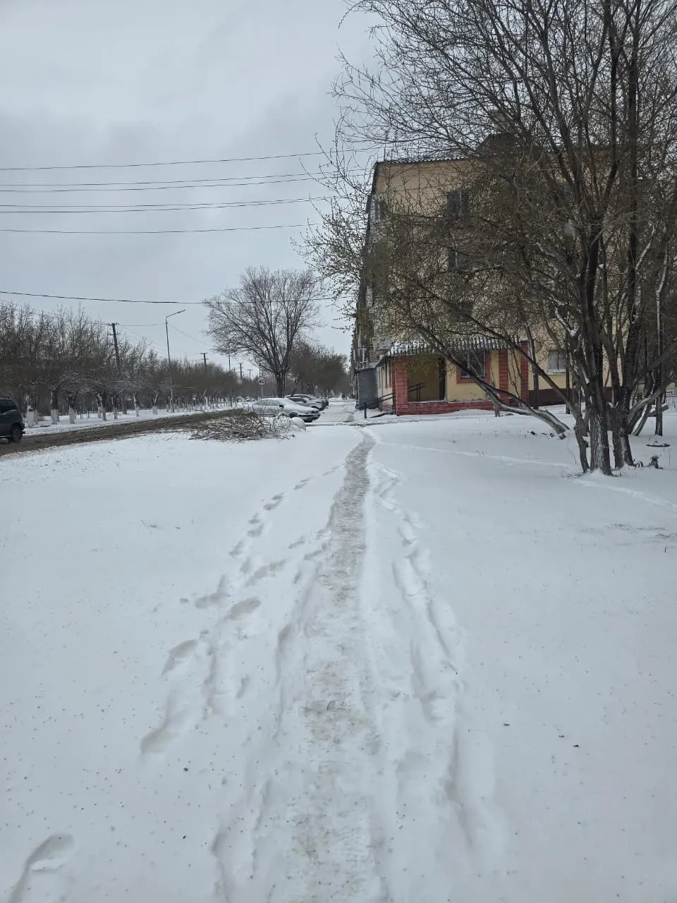 На работу вышли все, кроме уборочной техники