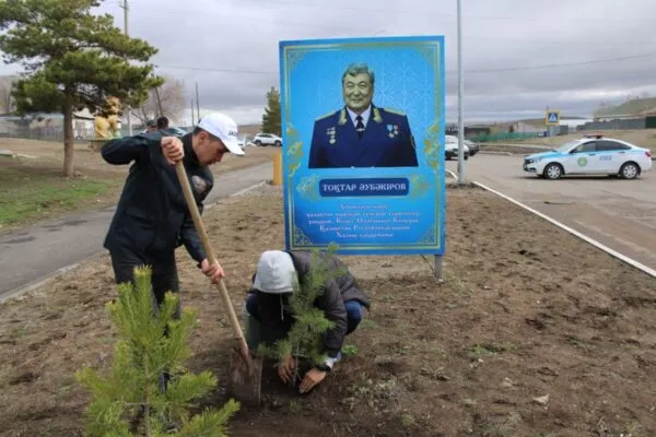 Сосны в честь героя
