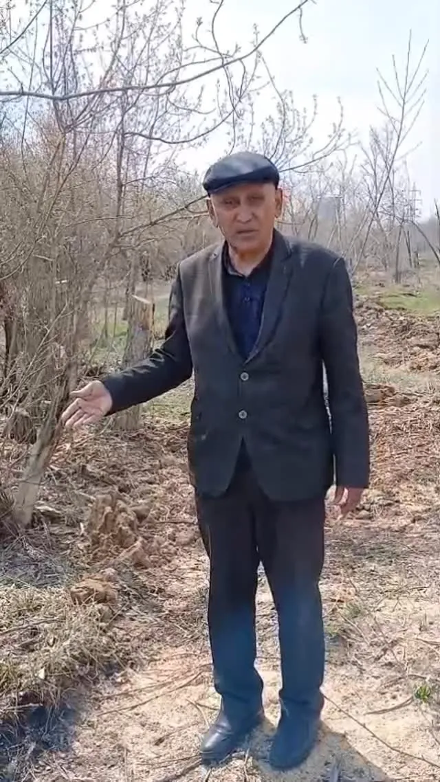 Карагандинцам пояснили, что в Центральном парке продолжается вырубка больных и старых деревьев