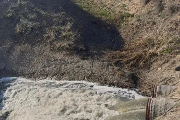 Внеплановая проверка на реке Сокыр выявила экологические нарушения