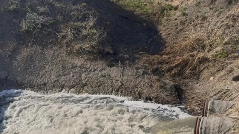 Внеплановая проверка на реке Сокыр обнаружила экологические нарушения