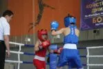 Бокс как шахматы: формирование чемпионов в Казахстане