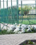 Темиртау продолжает страдать от проблем с санитарным состоянием