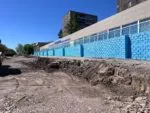 Тень исчезает вместе с деревьями в Казахстане