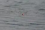 Трагедия на водоемах Карагандинской области унесла жизни людей