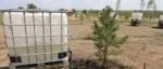 В Караганде этой осенью высадят 5000 новых деревьев в экопарке