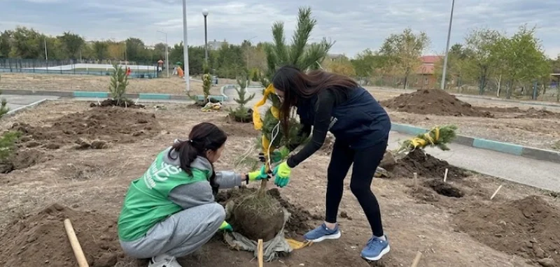 В Караганде высадили 4500 деревьев в новом экопарке