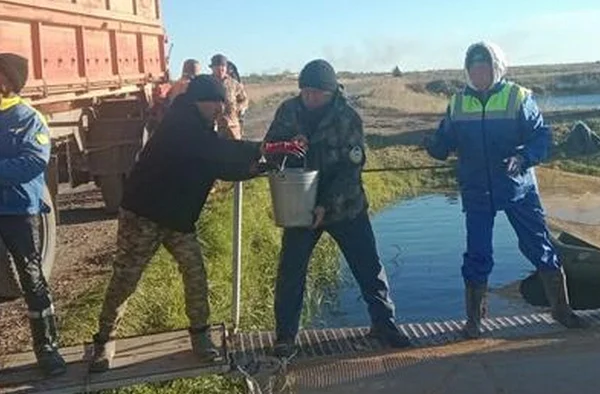 В Балхаш выпустили первые 180 тысяч сеголеток сазана