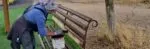 В Караганде обновляют объекты благоустройства в парках и скверах