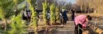 В Карагандинской области открыли новый сквер и высадили тысячи деревьев