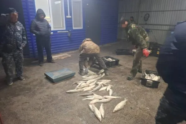 В Карагандинской области пресекли два случая браконьерства